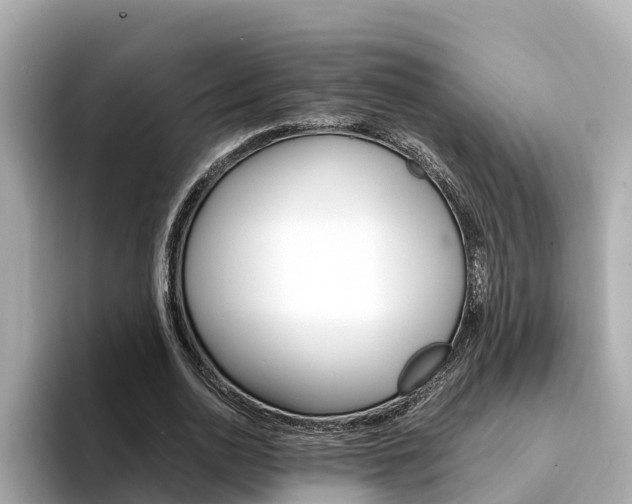 X0000094340726200711021148