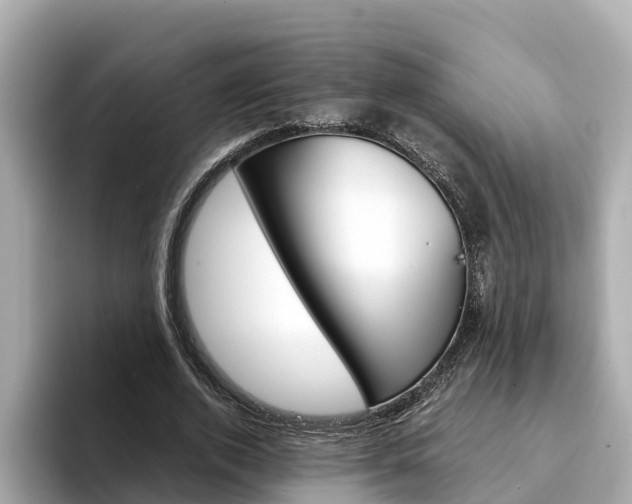 X0000094340728200711021148