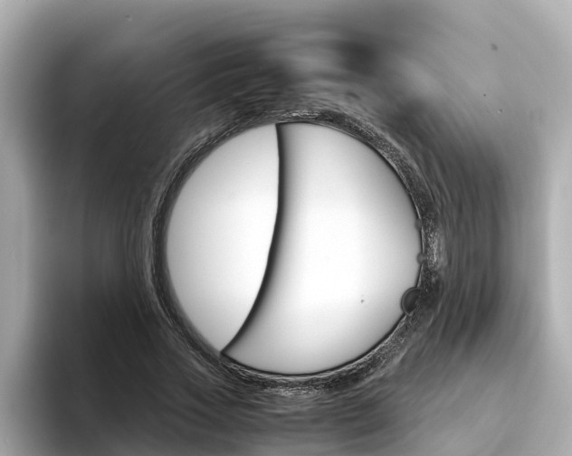 X0000094340733200711021149