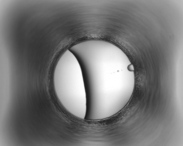X0000094340738200711021149
