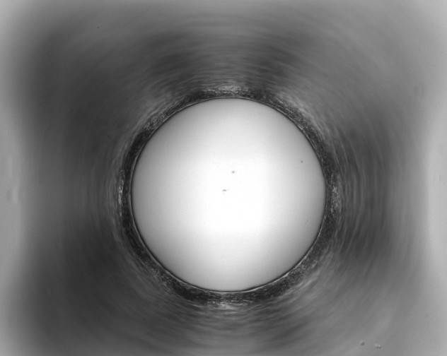 X0000094340739200711021149
