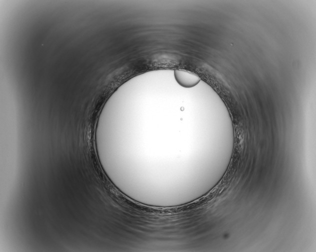 X0000094340745200711021149