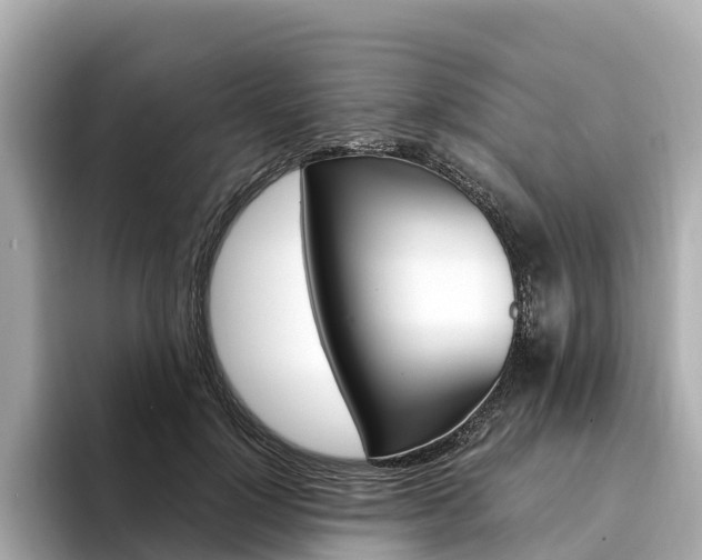 X0000094340748200711021149