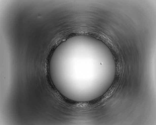 X0000094340762200711021149