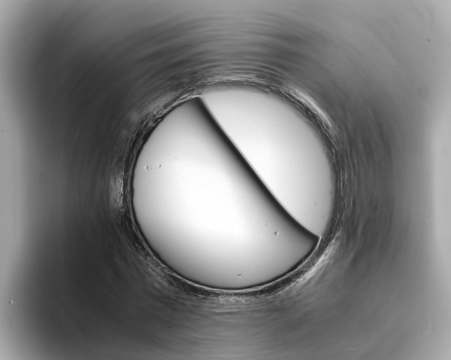 X0000094340777200711021148