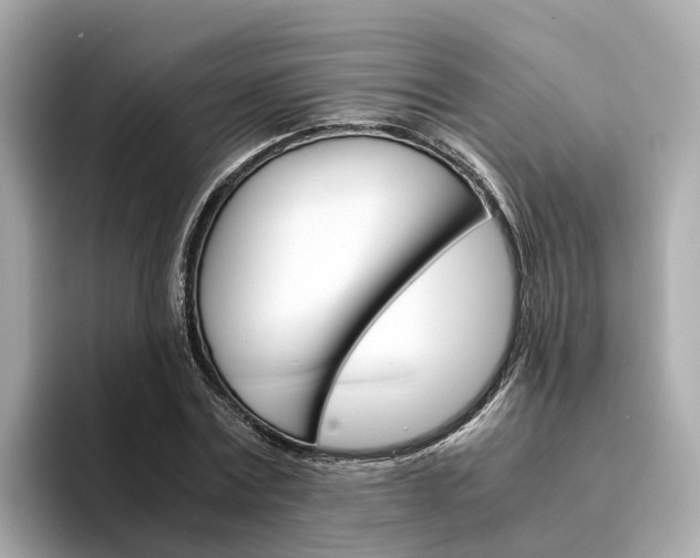 X0000094340779200711021148