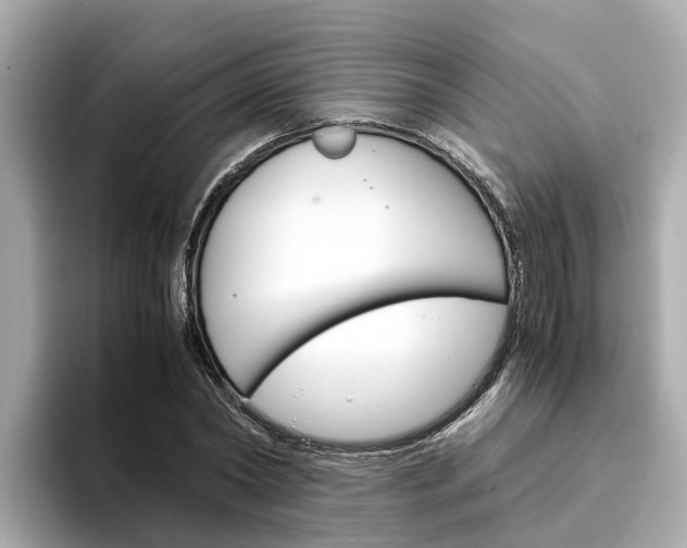 X0000094340782200711021148