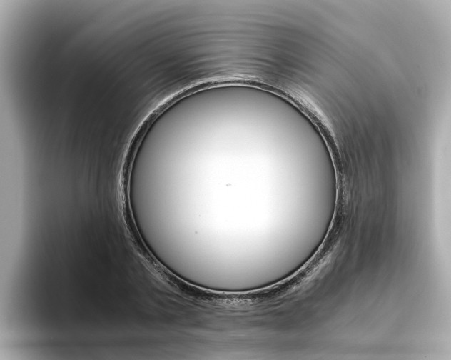 X0000094340789200711021148