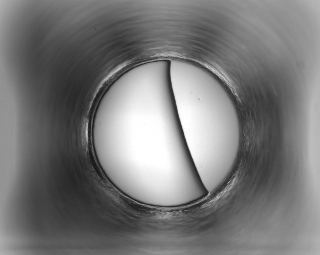 X0000094340790200711021148