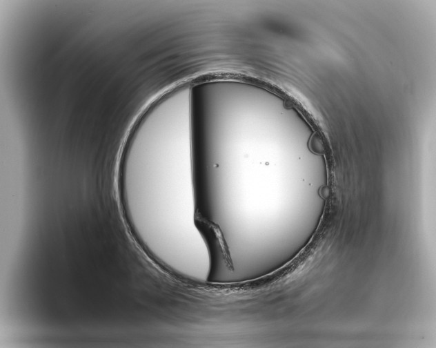 X0000094340791200711021148