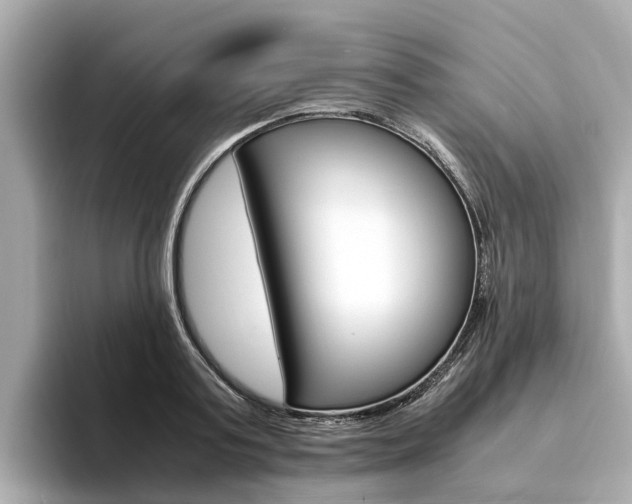 X0000094340795200711021148