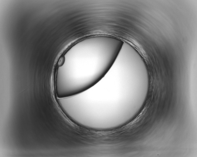 X0000094340796200711021148