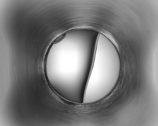 X0000094340805200711021148
