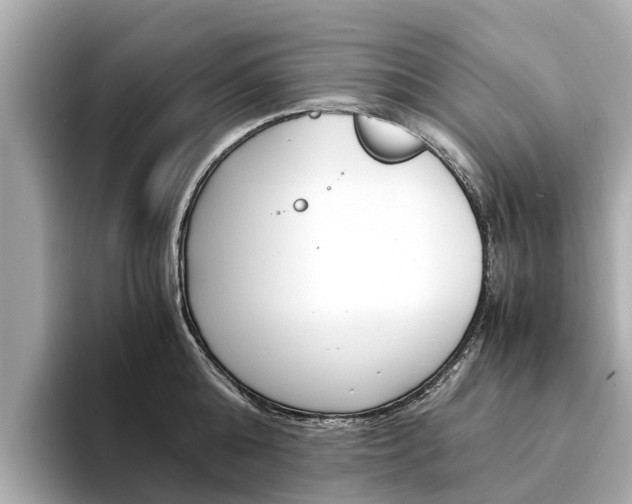 X0000094340808200711021148