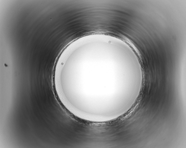X0000094340810200711021148