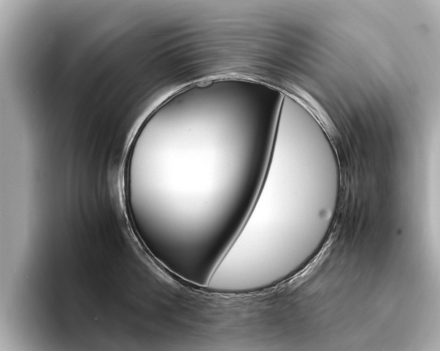X0000094340812200711021148