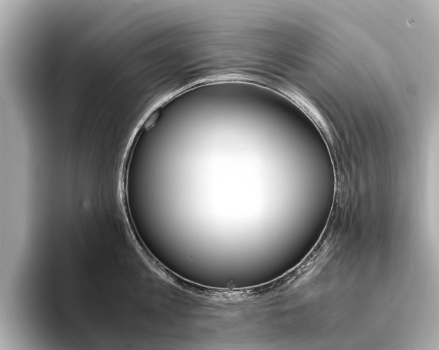 X0000094340813200711021148