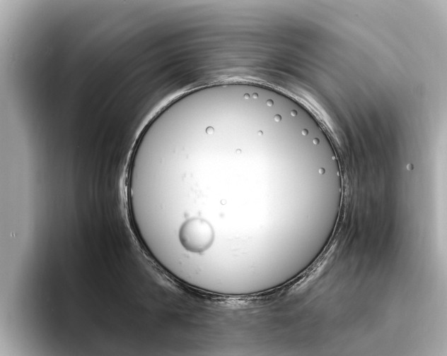 X0000094340814200711021148