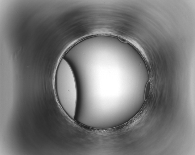 X0000094340815200711021148
