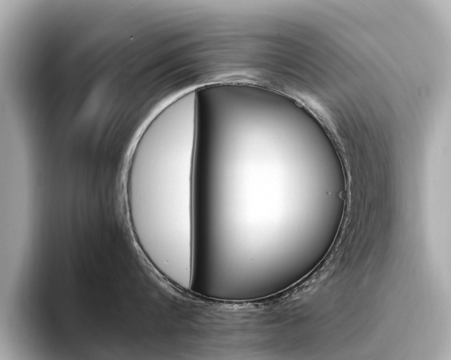 X0000094340816200711021148