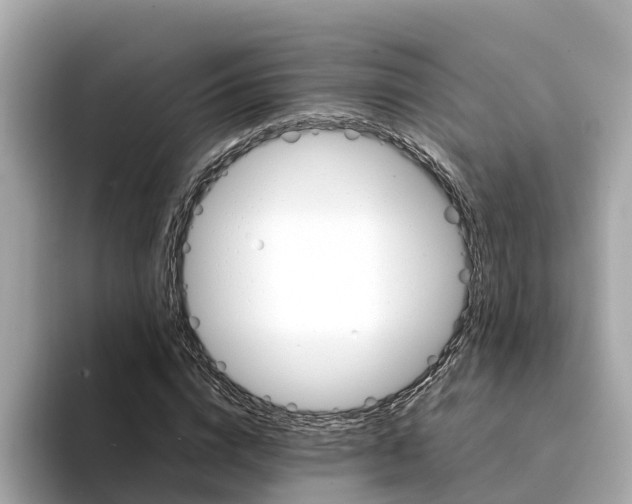 X0000094340824200711021147