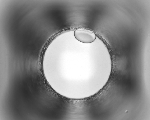 X0000094340832200711021147