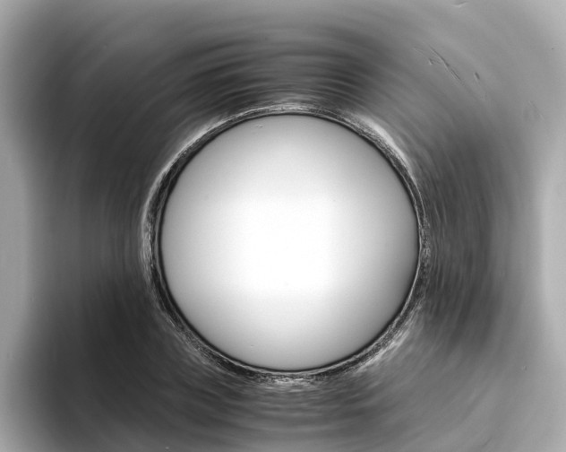 X0000094340835200711021147