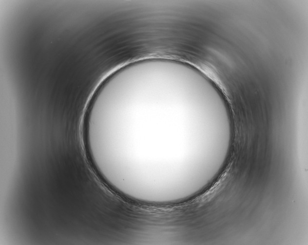 X0000094340838200711021148