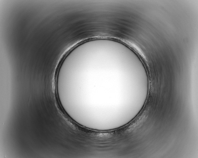 X0000094340839200711021148