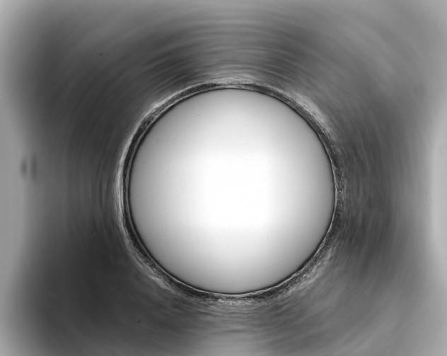X0000094340840200711021148