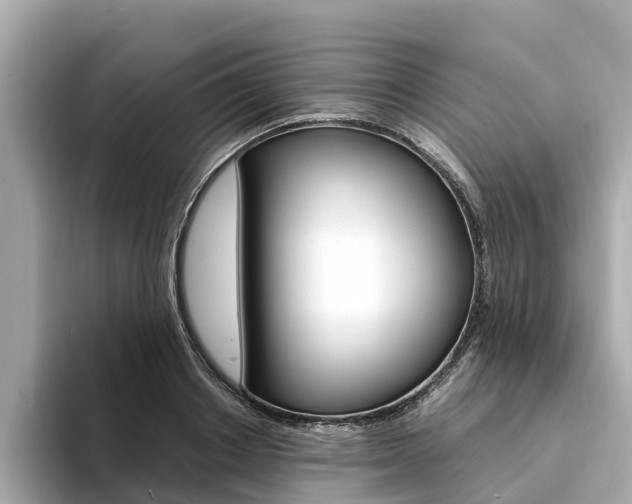 X0000094340842200711021148