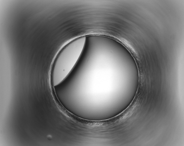 X0000094340846200711021148