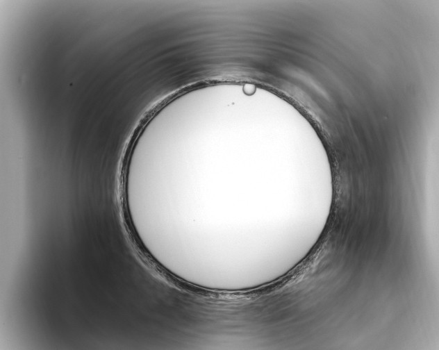 X0000094340848200711021148