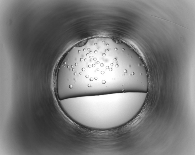 X0000094340851200711021148