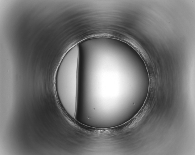 X0000094340858200711021148