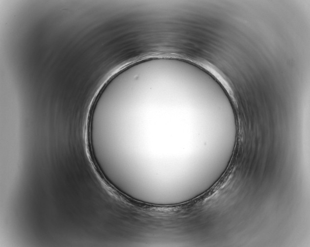X0000094340861200711021148