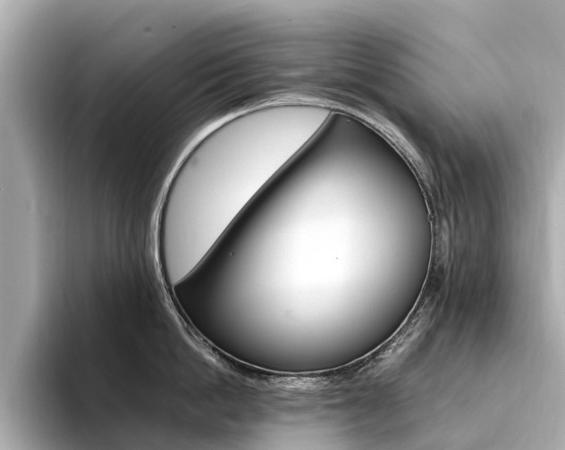 X0000094340862200711021148