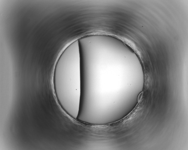 X0000094340863200711021148