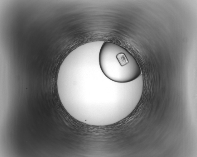 X0000094340868200711021147