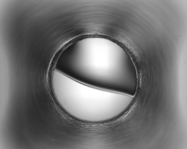 X0000094340876200711021147