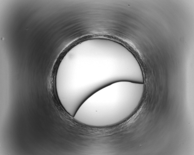 X0000094340879200711021147