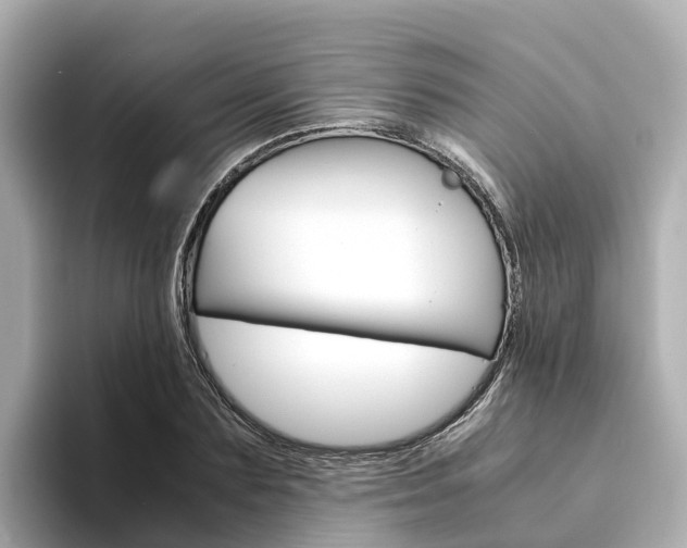 X0000094340883200711021147