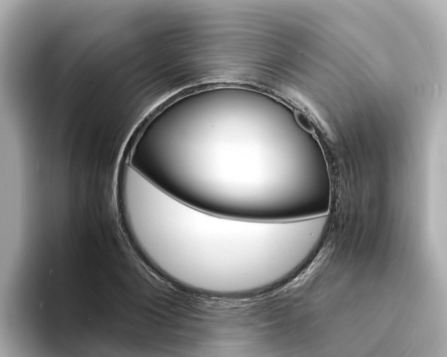X0000094340884200711021147
