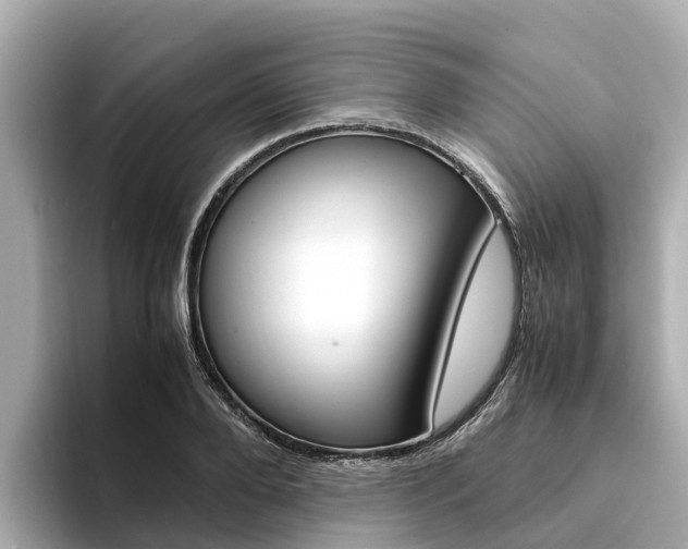 X0000094340888200711021147