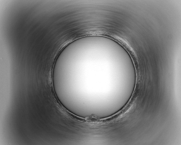 X0000094340889200711021147