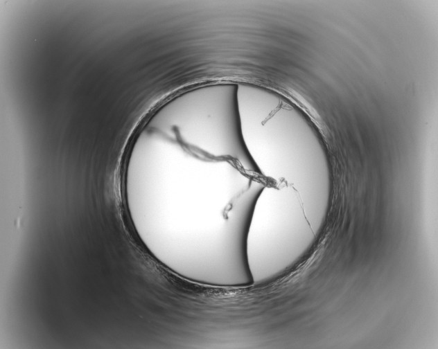 X0000094340891200711021147