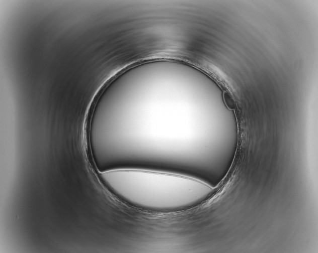 X0000094340892200711021147