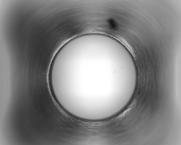 X0000094340893200711021147
