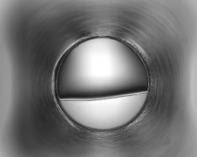 X0000094340894200711021147