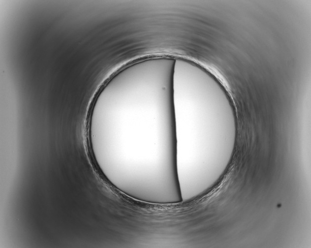 X0000094340895200711021147